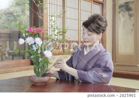 插花 人 人物 2825901