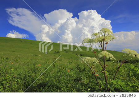 summer weather, plateau, highland 2825946