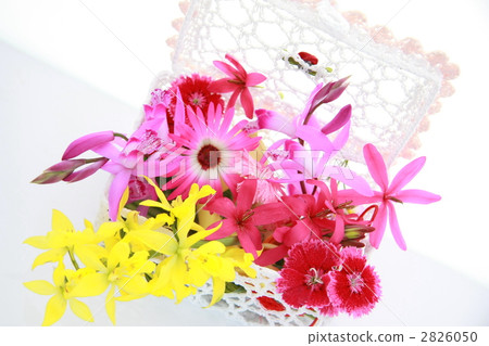 插花藝術 安排 鮮花 2826050