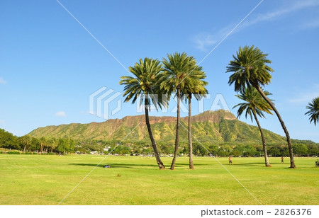 Holidays in Hawaii Holidays in Hawaii 2826376