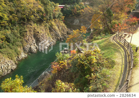 Flying gorge 2826634