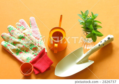 Gardening image Gardening image 2826737