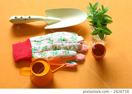 Gardening image 2826738