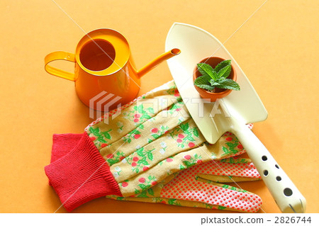 Gardening image Gardening image 2826744