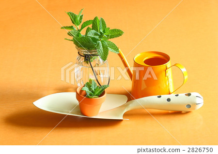 園藝形象 2826750