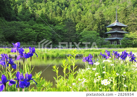 Yasuzu Hachiman Shrine·Triple Tower 2826934