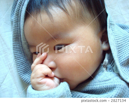 吸吮腳趾 吸吮腳趾 2827134