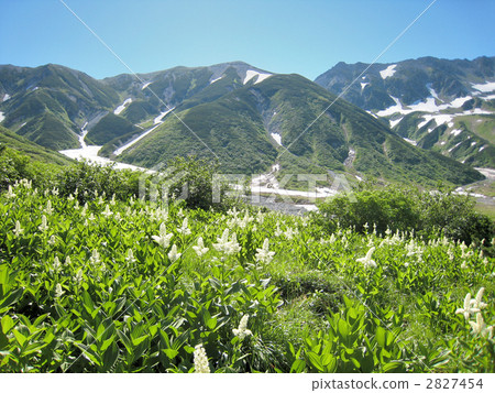 立山 2827454