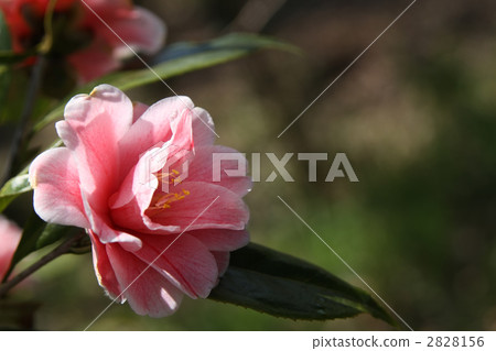 Closing round 2828156