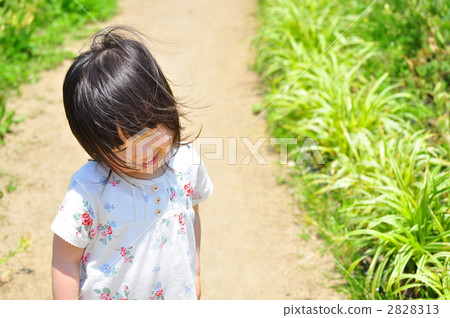 夏日的風 2828313