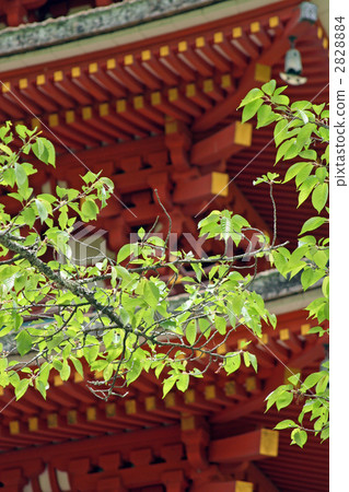 Hasederaji的五層寶塔 Hasederaji的五層寶塔 2828884