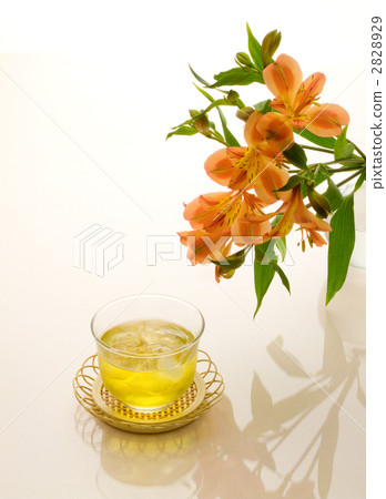 綠茶 2828929