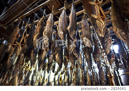 醃三文魚 醃三文魚 2829161