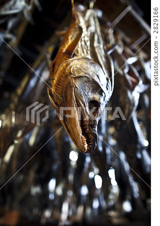 醃三文魚 2829166