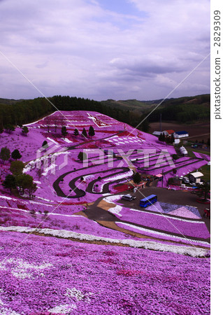 Shiba-ko Park 2829309