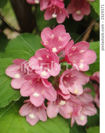 Valley of the valley Valley of the valley 2829371