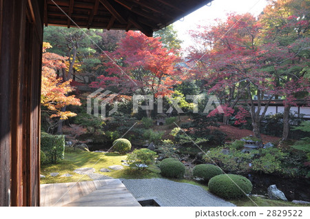 Choya's Garden of Chaoyang 2829522