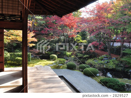 Choya's Garden of Chaoyang 2829527