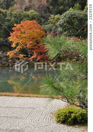 Autumn-sized garden Autumn-sized garden 2829559