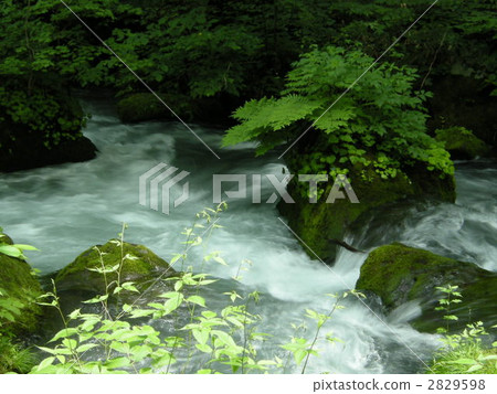 waterfront, waterside, mountain stream 2829598
