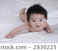 baby, infant, human 2830225