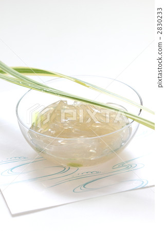 gelidium jelly strips, cool feeling, gelidiaceae 2830233