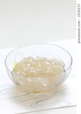 涼粉條 涼爽的感覺 石花菜科 2830237