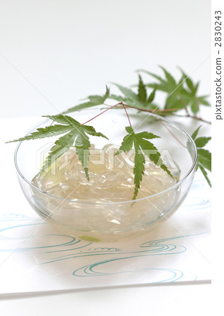 gelidium jelly strips, maple leaf, gelidiaceae 2830243