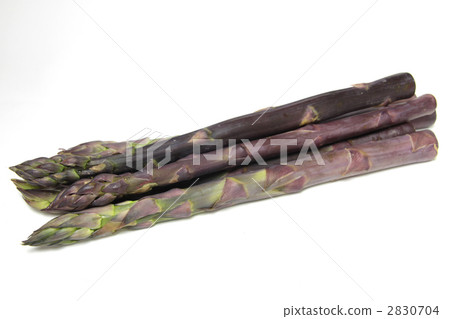 Purple aspara whole body horizontal position 2830704