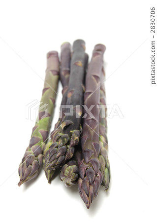 Purple aspara whole body vertical position 2830706