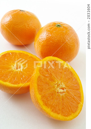 Orange  2831604