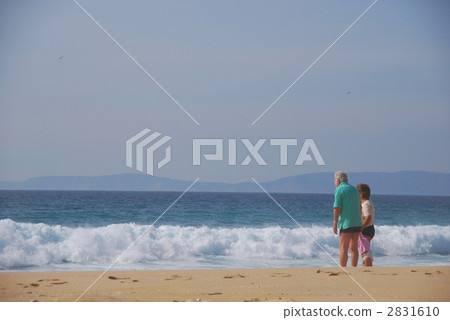 The sea of Troy 2831610
