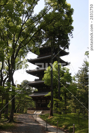 five-storied pagoda, ninna-ji, temple 2831750