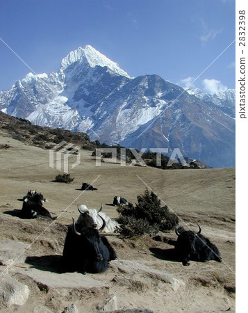 世界遺產·尼泊爾·薩加瑪塔 2832398