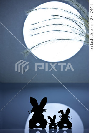 Rabbit family moonlight image Rabbit family moonlight image 2832443