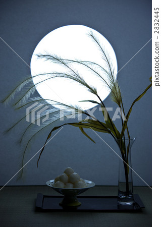 Moonlight image Moonlight image 2832445