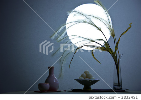 月光圖像 月光圖像 2832451