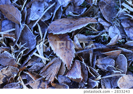 Winter image frost 2833243