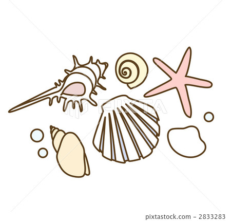Seashell 2833283