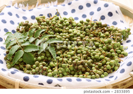 真正的日本辣椒 2833895