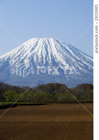 雪山 田野 田園 2833985