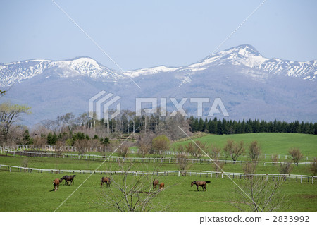 草原 高原 高地 2833992