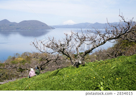 桃李園 雪山 梅林 2834015