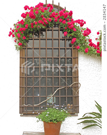 Para裝飾窗邊 Para裝飾窗邊 2834147