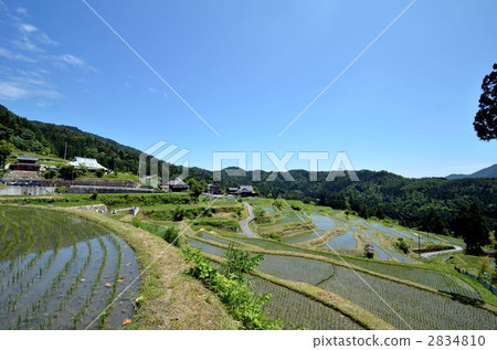 Field / rice terrace Field / rice terrace 2834810