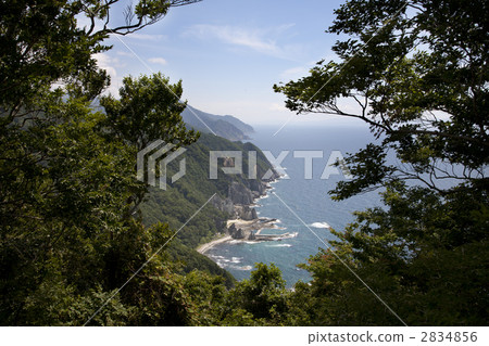 Futagaura Futagaura 2834856