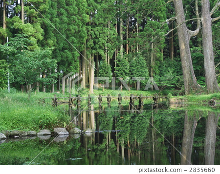 灑水池水彩 2835660