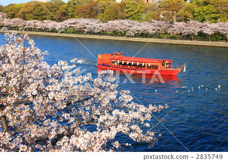 船屋和櫻花 2835749