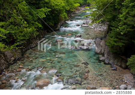 Aganohawa Akihiko Suspension bridge上游 2835880