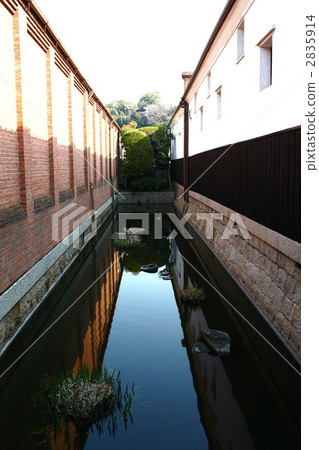 常春藤廣場 2835914